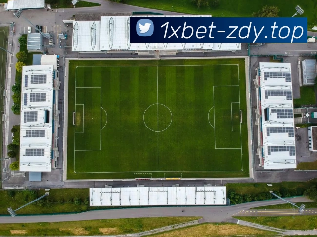 1xbet官网平台生态图